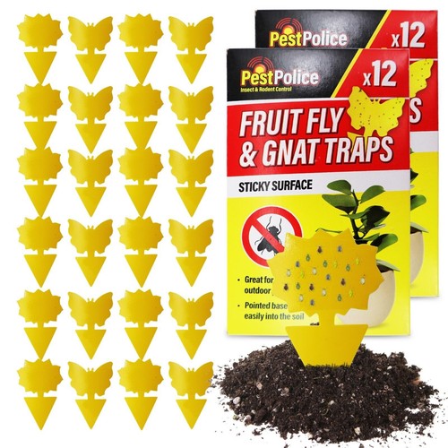 48pk sticky fruit - 12-48pk, fly