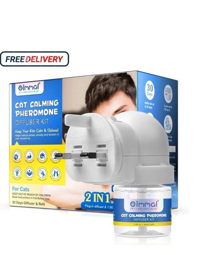 Day cat calming - cat, in